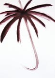 Brush drawn intersecting semicircular lines. Open umbrella or palm tree giving protection. stock photography Brush drawn intersecting semicircular lines. Open umbrella or palm tree giving protection. stock photography