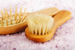 Brushes For Body Massage Stock Images