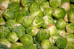 Brussels Sprout Royalty Free Stock Image