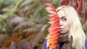 Brustbild der jungen Frau im Herbstpark mit bunten Blättern lizenzfreies stockbild Brustbild der jungen Frau im Herbstpark mit bunten Blättern lizenzfreies stockbild