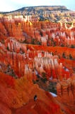 Bryce Canyon Royalty Free Stock Photography