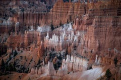 Bryce Canyon National Park fotos de archivo Bryce Canyon National Park fotos de archivo