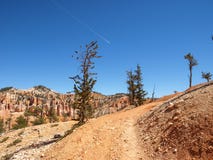 The Bryce Canyon National Park Utah, United States. Stock Photography The Bryce Canyon National Park Utah, United States. Stock Photography