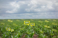He bubble chat data the detect by futuristic technology in smart agriculture Stock Image He bubble chat data the detect by futuristic technology in smart agriculture Stock Image