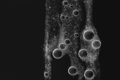 Bubblor för ljus luft royaltyfri bild Bubblor för ljus luft royaltyfri bild