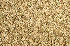 Buchweizen und Beschaffenheitshintergrund Beschneidungspfad eingeschlossen stockbilder Buchweizen und Beschaffenheitshintergrund Beschneidungspfad eingeschlossen stockbilder