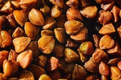 Buchweizenkörner sind trockenes Braun, Beschaffenheit ist Makro lizenzfreies stockbild Buchweizenkörner sind trockenes Braun, Beschaffenheit ist Makro lizenzfreies stockbild