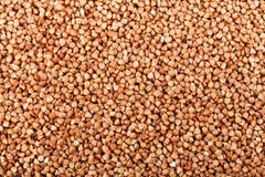  buckwheat fotografia de stock royalty free