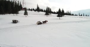 Bucovina widok z lotu ptaka materiał filmowy na Vatra Dornei w zima czasie, Rumunia zbiory Bucovina widok z lotu ptaka materiał filmowy na Vatra Dornei w zima czasie, Rumunia zbiory