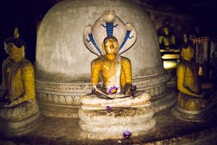 Buddha statuy w świątyni Dambulla Sri Lanka fotografia stock Buddha statuy w świątyni Dambulla Sri Lanka fotografia stock
