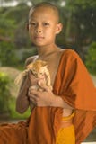 Buddhist Novice In Laos Royalty Free Stock Image