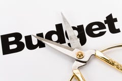 Budget Cut