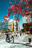 Buenos Aires, la Argentina imagenes de archivo Buenos Aires, la Argentina imagenes de archivo