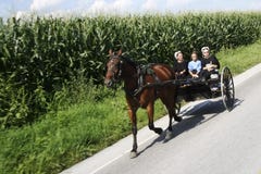 Buggy de Amish foto de stock Buggy de Amish foto de stock