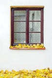 Building exterior with closed window and maple leaves at autumn stock photos Building exterior with closed window and maple leaves at autumn stock photos