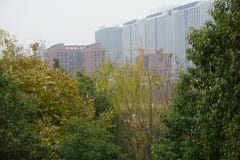 Building under constructing behind the trees royalty free stock photo Building under constructing behind the trees royalty free stock photo
