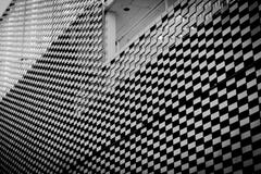 Buildung del modelo de Caro blanco y negro fotos de archivo Buildung del modelo de Caro blanco y negro fotos de archivo