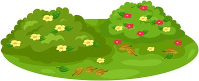 Buisson mignon sur le jardin illustration de vecteur Buisson mignon sur le jardin illustration de vecteur