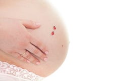 Buk av en gravid kvinna med två nyckelpigor på en vit bakgrund royaltyfria foton Buk av en gravid kvinna med två nyckelpigor på en vit bakgrund royaltyfria foton