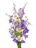Bukiet wildflowers Obraz Stock Bukiet wildflowers Obraz Stock