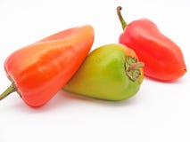 Bulgaarse peper stock afbeeldingen Bulgaarse peper stock afbeeldingen