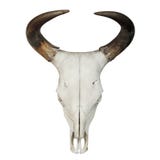 Skull of a bull stock vector. Illustration of ancient - 34581039