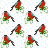 Bullfinch σε μια ερυθρελάτη branchBasic ελεύθερη απεικόνιση δικαιώματος Bullfinch σε μια ερυθρελάτη branchBasic ελεύθερη απεικόνιση δικαιώματος
