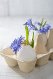 Bunch of early spring flowers. ( Scilla siberica) in eggshells. Shallow depth of field, focus on near flowers. Easter decor royalty free stock photography Bunch of early spring flowers. ( Scilla siberica) in eggshells. Shallow depth of field, focus on near flowers. Easter decor royalty free stock photography