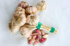 Bunch of garlic on white background stock photo Bunch of garlic on white background stock photo