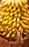 Bunch Of Bananas In Basket Stock Images Bunch Of Bananas In Basket Stock Images