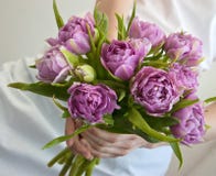 Bunch Of Flowers In Woman S Hands Royalty Free Stock Image