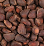 Bunch Of Pine Nuts. Royalty Free Stock Photo