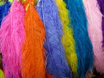 Bunte Federn - blau, Rosa, Orange, Gelbes und Purpurrotes stockfotografie Bunte Federn - blau, Rosa, Orange, Gelbes und Purpurrotes stockfotografie
