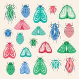 Bunte Motten- und Käferillustration Eine Sammlung Vektorinsekten ideal für Clipart- oder Druckprojekte lizenzfreie abbildung Bunte Motten- und Käferillustration Eine Sammlung Vektorinsekten ideal für Clipart- oder Druckprojekte lizenzfreie abbildung