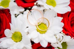 Bunter Blumenhochzeitsblumenstrauß für Braut lizenzfreies stockfoto Bunter Blumenhochzeitsblumenstrauß für Braut lizenzfreies stockfoto