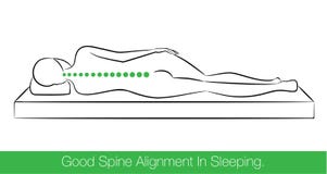 Buon allineamento della spina dorsale nel sonno illustrazione di stock Buon allineamento della spina dorsale nel sonno illustrazione di stock