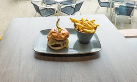 Burger με τις γαλλικές τηγανισμένες πατάτες στοκ εικόνες με δικαίωμα ελεύθερης χρήσης Burger με τις γαλλικές τηγανισμένες πατάτες στοκ εικόνες με δικαίωμα ελεύθερης χρήσης