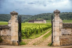 burgundy αμπελώνες της Γαλλίας στοκ φωτογραφίες με δικαίωμα ελεύθερης χρήσης burgundy αμπελώνες της Γαλλίας στοκ φωτογραφίες με δικαίωμα ελεύθερης χρήσης
