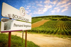Burgundy, κρασί pernand-Vergelesses παράγεται στην κοινότητα pernand-Vergelesses σε CÃ'te de Beaune Γαλλία στοκ εικόνα Burgundy, κρασί pernand-Vergelesses παράγεται στην κοινότητα pernand-Vergelesses σε CÃ'te de Beaune Γαλλία στοκ εικόνα
