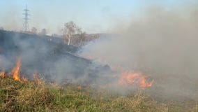 Burning field. Burning old dry last year`s grass. Dry grass in flame and smoke while burning forest fire at dry season