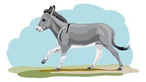 Burro galopante Foto de archivo libre de regalías Burro galopante Foto de archivo libre de regalías