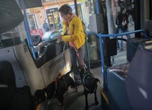 Bus pubblico con gli animali domestici immagini stock libere da diritti Bus pubblico con gli animali domestici immagini stock libere da diritti