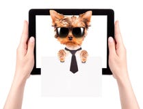 Business dog holding banner on a tablet screen Stock Photography Business dog holding banner on a tablet screen Stock Photography