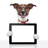 Business dog tablet pc ebook touch pad