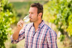 business drinking man wine Στοκ Φωτογραφία business drinking man wine Στοκ Φωτογραφία