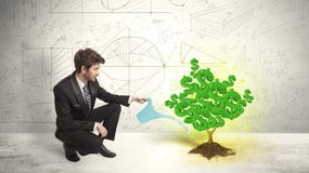 Business man watering a growing green dollar sign tree stock photos Business man watering a growing green dollar sign tree stock photos