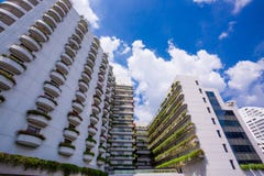 Business office skyscrapers with fresh green tree stock photography Business office skyscrapers with fresh green tree stock photography