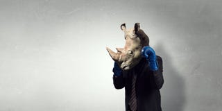 Rhino dressed in business suit . Mixed media Royalty Free Stock Photo Rhino dressed in business suit . Mixed media Royalty Free Stock Photo