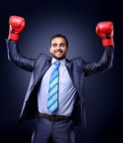 Businessman in a suit and boxing gloves royalty free stock images Businessman in a suit and boxing gloves royalty free stock images