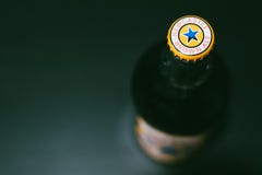 Butelka Newcastle Brown Ale fotografia royalty free Butelka Newcastle Brown Ale fotografia royalty free